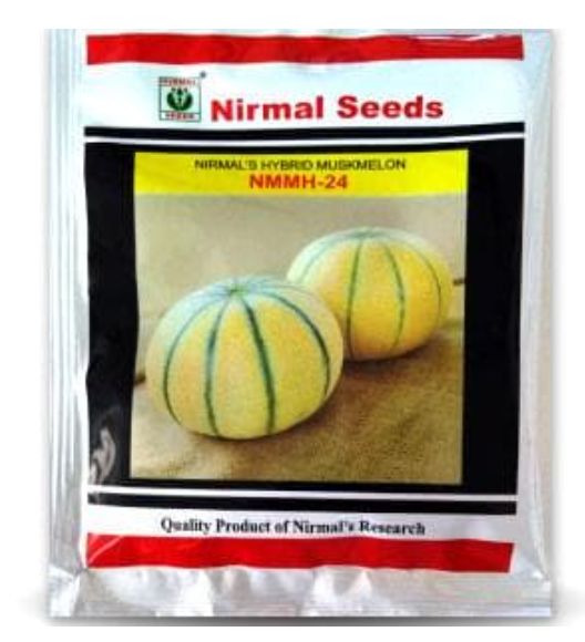 NIRMAL 24 MUSKMELON