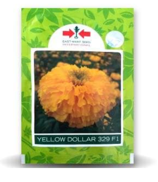 YELLOW DOLLAR MARIGOLD