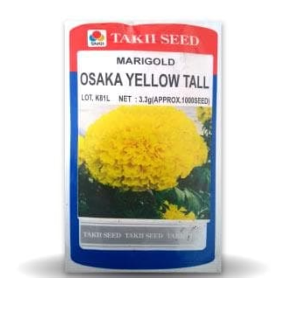 OSAKA YELLOW TALL MARIGOLD