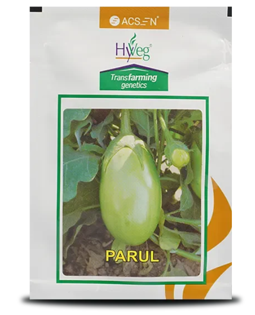PARUL BRINJAL SEEDS