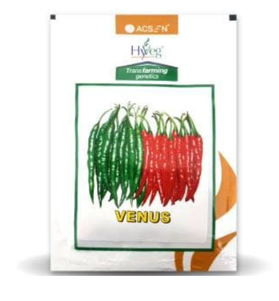 VENUS CHILLI