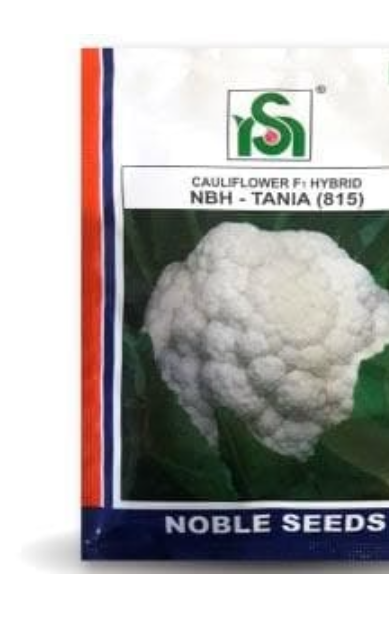 NBH - TANIA (815) CAULIFLOWER