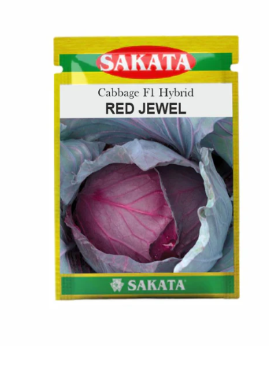 रेड जेवेल पत्तागोभी