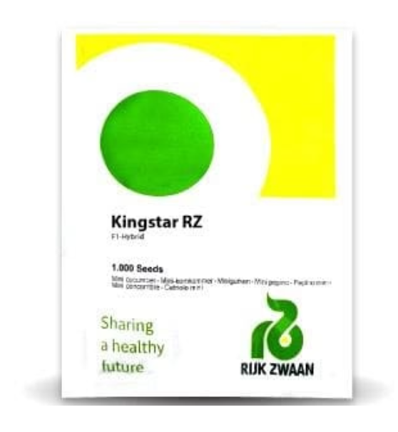 KINGSTAR RZ F1 CUCUMBER