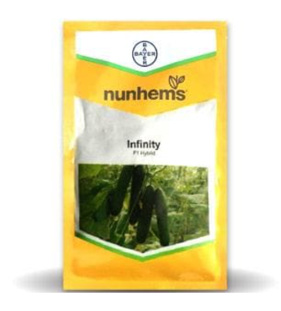 INFINITY F1 CUCUMBER