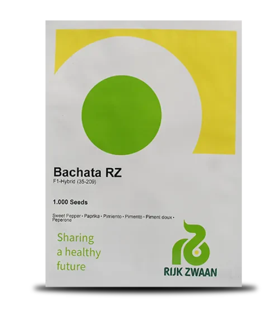 BACHATA RZ F1 YELLOW CAPSICUM