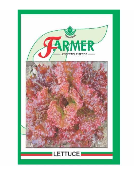 LOLA ROSSA LETTUCE