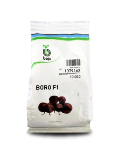 BORO BEETROOT