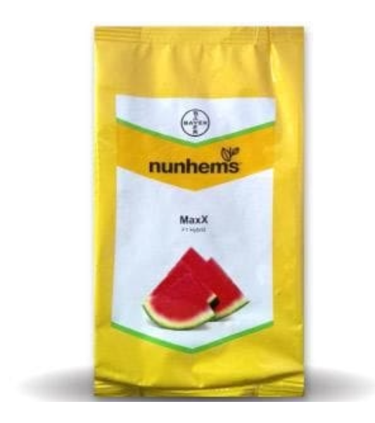 MAXX F1 HYBRID WATERMELON SEEDS