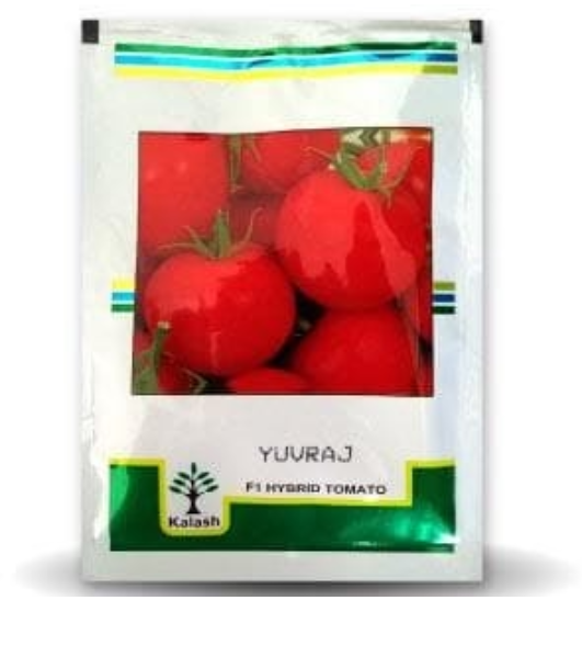 BSS 1006 (YUVRAJ) TOMATO ( युवराज टमाटर )