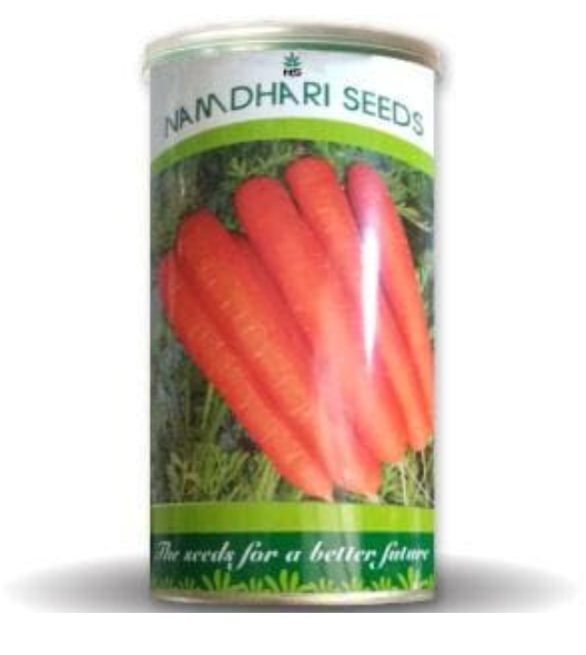 NS 9905 F1 CARROT