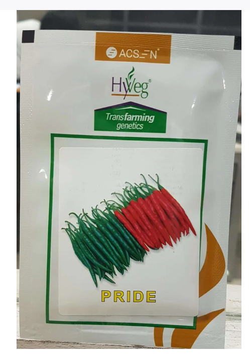 PRIDE CHILLI