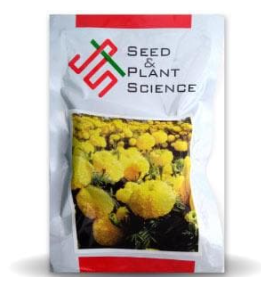 JET YELLOW MARIGOLD
