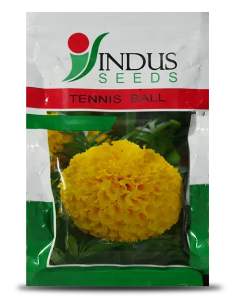TENNIS BALL F1 HYBRID MARIGOLD SEEDS