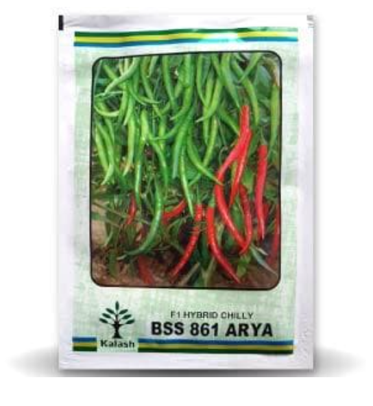 BSS 861 (ARYA) CHILLI