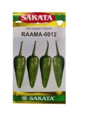 RAAMA 0012 CHILLI