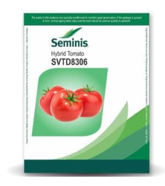 SVTD8306 TOMATO SEEDS ( एसवीटीडी 8306 टमाटर )