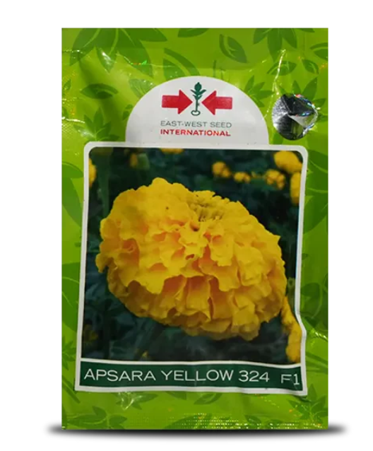 APSARA YELLOW 324 F1 MARIGOLD