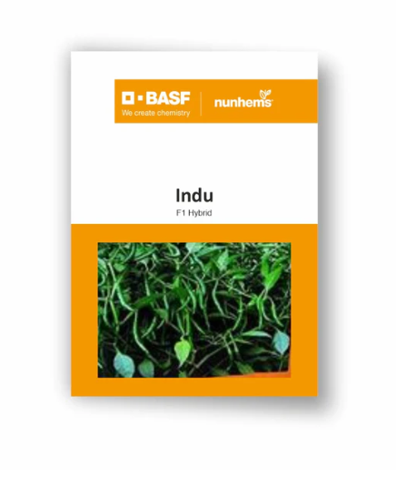 INDU F1 मिर्च के बीज