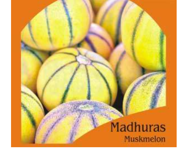 MADHURAS MUSKMELON (OP)