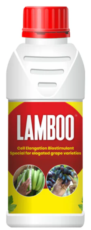 PATIL BIOTECH LAMBOO