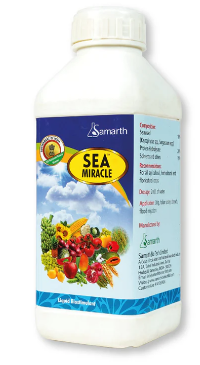 SAMARTH SEA MIRACLE