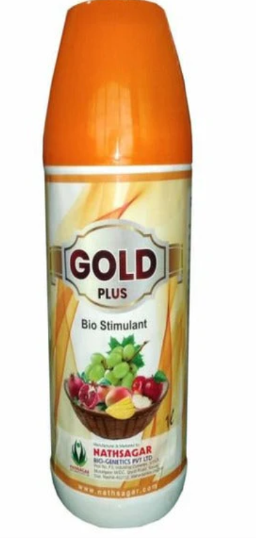 NATHSAGAR GOLD PLUS