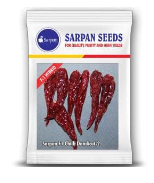 सरपन डंडिकट-2 मिर्च के बीज
