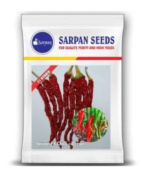SARPAN HYBRID F1 CHILLI DEEPA (SEEDS)