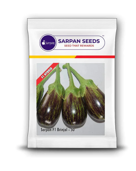 SARPAN F1 BRINJAL-50