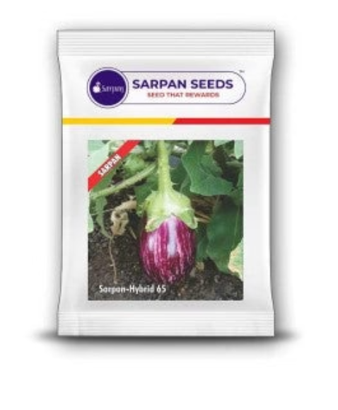 SARPAN BRINJAL-65 (SEEDS)