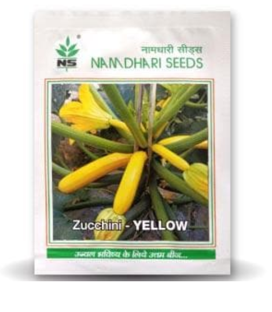 NS 9823 F1 Hybrid Long Yellow Zucchini Seeds