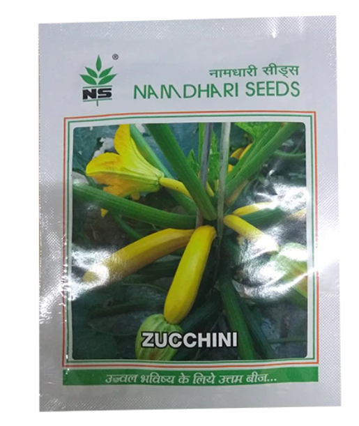 NS 9881 F1 Hybrid Long Yellow Zucchini Seeds