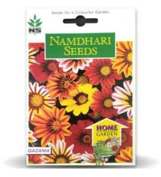 NS GAZANIA F1 KISS FROSTY MIX