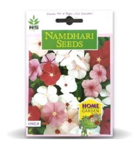 NS F1 Hybrid Vinca Pacifica Mix Flower Seeds