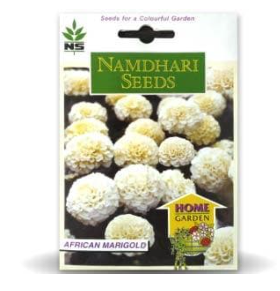 NS F1 Hybrid Vanilla White Marigold Seeds