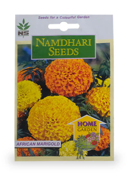 NS Majestic Yellow African Marigold Seeds