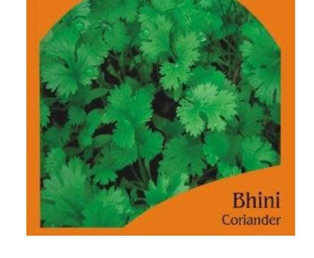 भिनी धनिया (गोल)