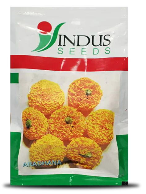 ARADHANA MARIGOLD