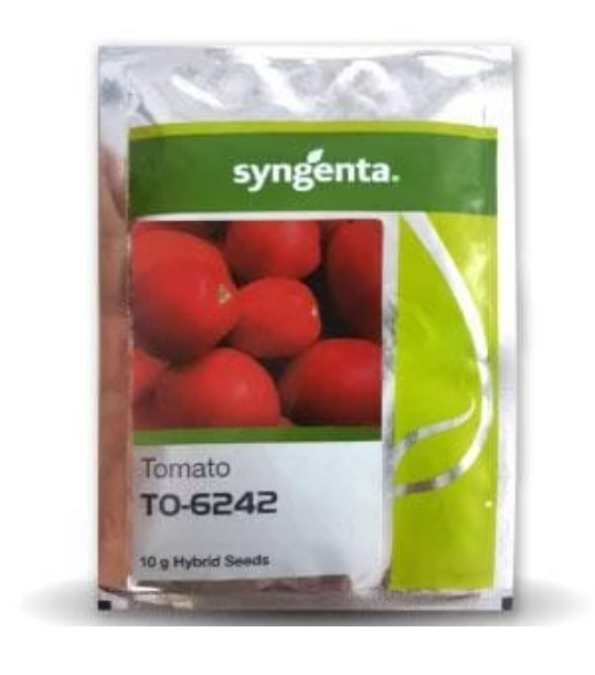 TO - 6242 Tomato Seeds