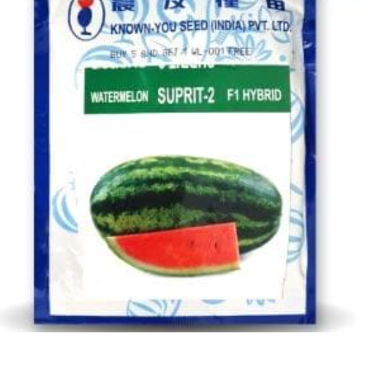 SUPRIT 2 WATER MELON