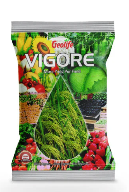 GEOLIFE VIGORE
