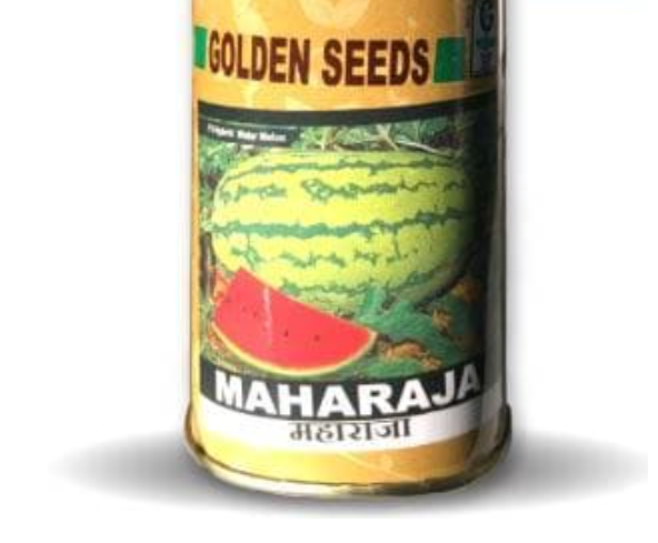 MAHARAJA WATERMELON