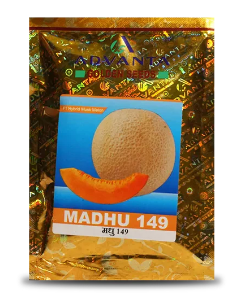 MADHU 149 MUSK MELON
