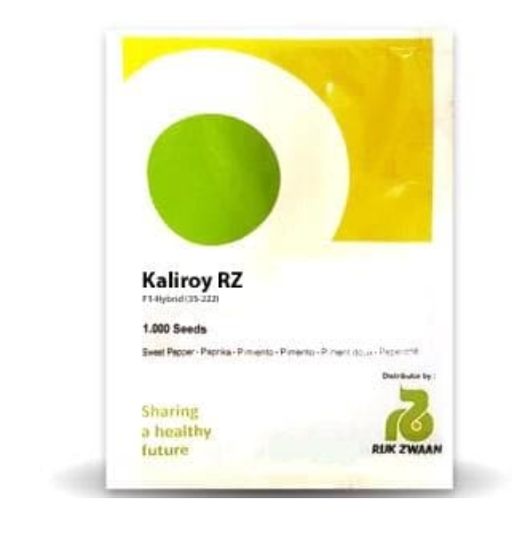 KALIROY RZ F1 YELLOW CAPSICUM