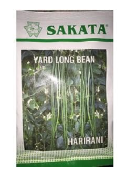 HARIRANI YARD LONG BEAN