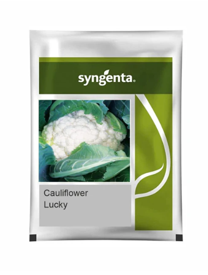 SYNGENTA LUCKY CAULIFLOWER