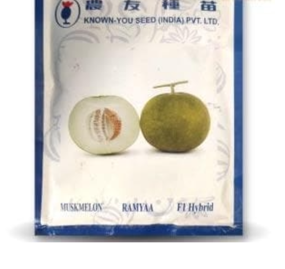RAMYAA MUSK MELON