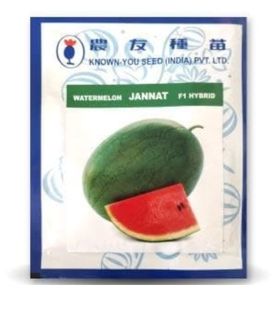 JANNAT WATERMELON