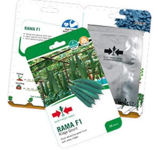 RAMA F1 RIDGEGOURD (रामा एफ 1 तुरई )